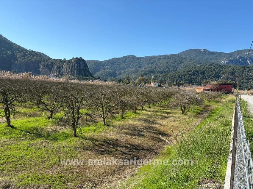 5985m2 Plot Of Land For Sale In Dalyan, Zoned For 5% Vineyard/orchard Use.