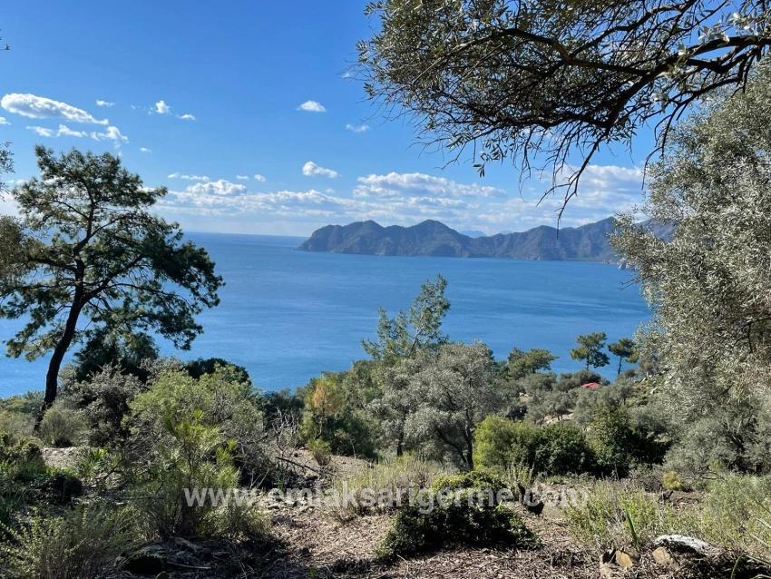 Çandır 20.000m2 2b For Sale With Full Sea View
