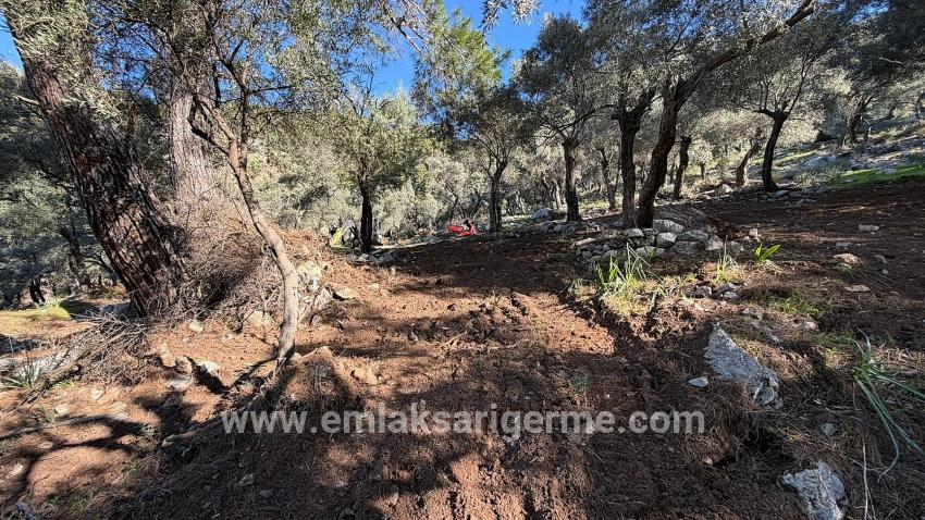 Field For sale in Çandır Nbh. Köyceğiz - Housing Zoned - 5.715 m²