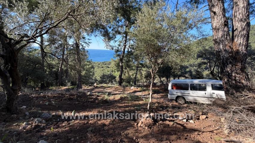 Field For sale in Çandır Nbh. Köyceğiz - Housing Zoned - 5.715 m²