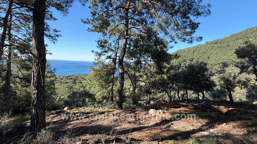 Field For sale in Çandır Nbh. Köyceğiz - Housing Zoned - 5.715 m²