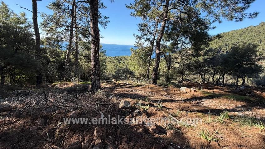 Field For sale in Çandır Nbh. Köyceğiz - Housing Zoned - 5.715 m²