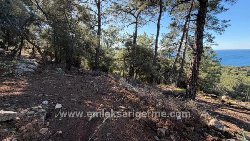 2b Field Of 5715m2 For Sale With Full Sea View In Çandır