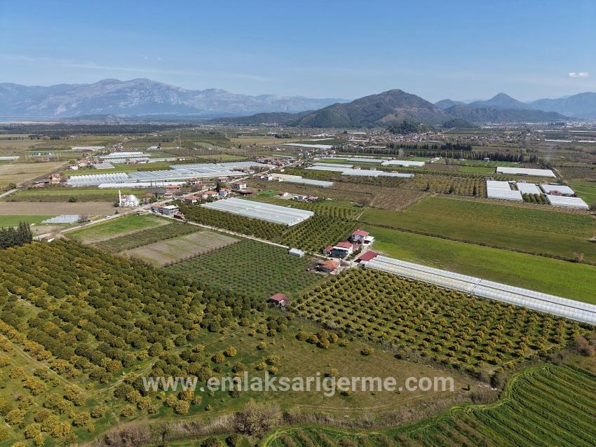 17.550m2 Vineyard-bahce For Sale Close To Dalyan Center