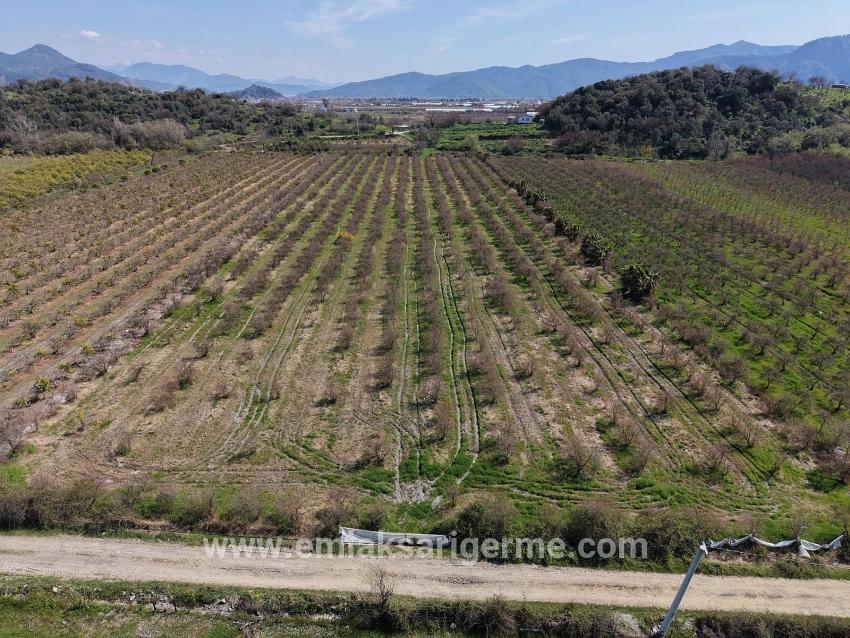 16.710m2 Pomegranate Garden For Sale With Lake View In Eskiköy