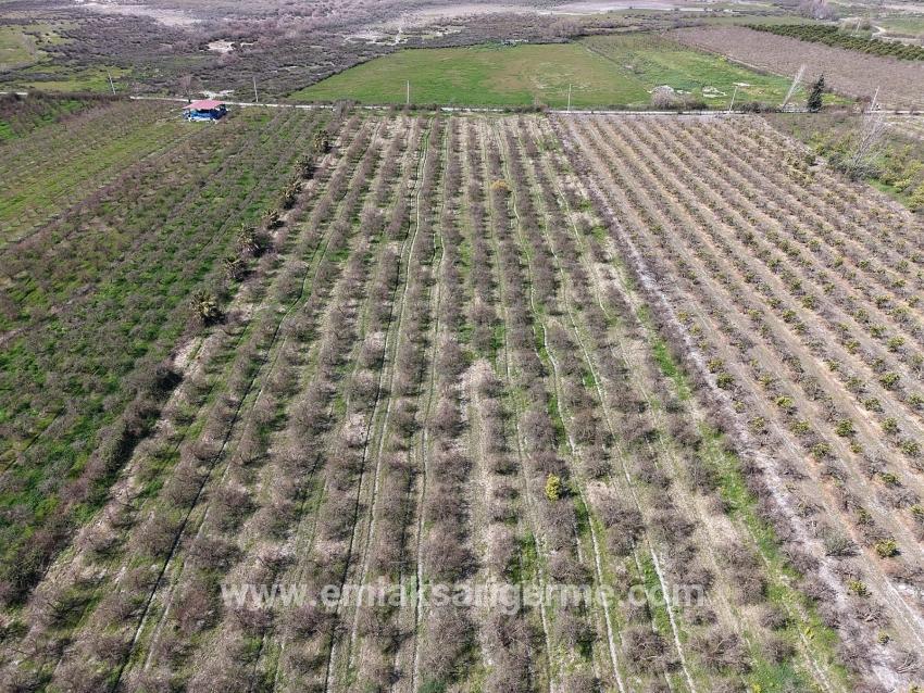 16.710m2 Pomegranate Garden For Sale With Lake View In Eskiköy