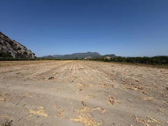 In Dalyan, a 20.786m2 field for sale