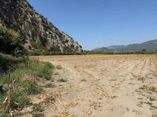 In Dalyan, a 20.786m2 field for sale