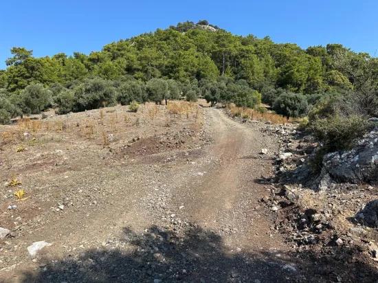 Field with sea view, 21.000 m2, 2b, for sale In Çandır