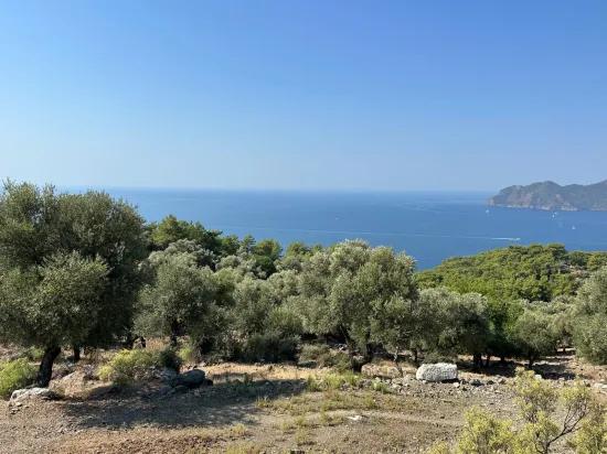 Field with sea view, 21.000 m2, 2b, for sale In Çandır