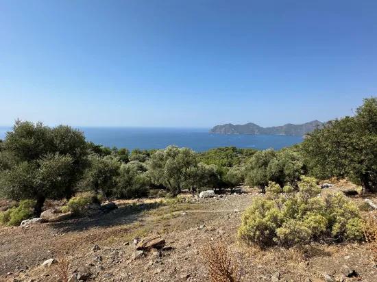 Field with sea view, 21.000 m2, 2b, for sale In Çandır