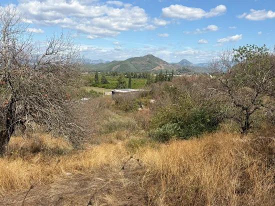 Field for sale, 5.000m2, with lake view In Dalyan, Karadağ