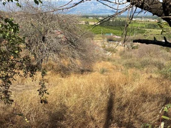 Field for sale, 5.000m2, with lake view In Dalyan, Karadağ