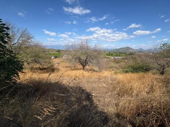 Field for sale, 5.000m2, with lake view In Dalyan, Karadağ