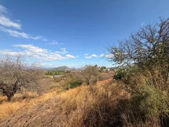 Field for sale, 5.000m2, with lake view In Dalyan, Karadağ