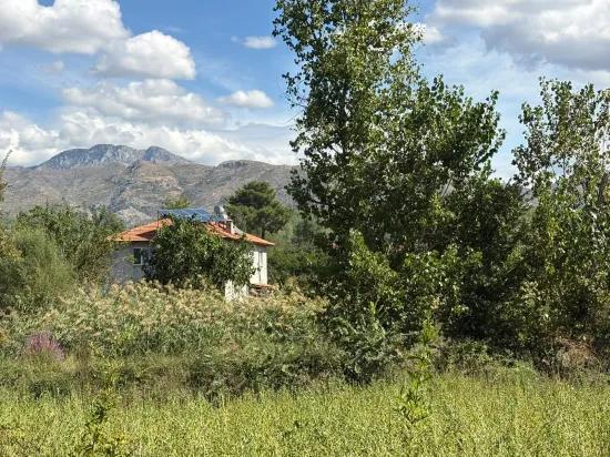 10.500 m2 field for sale In Köyceğiz Zeytinalanı