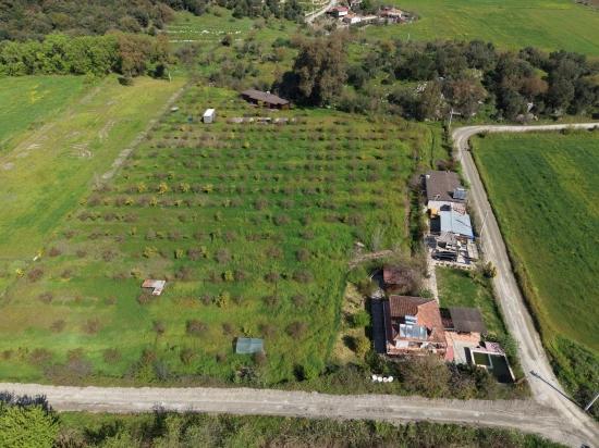 Tourism-oriented Business For Sale On An 11,000 M2 Plot Of Land In Eskiköy.