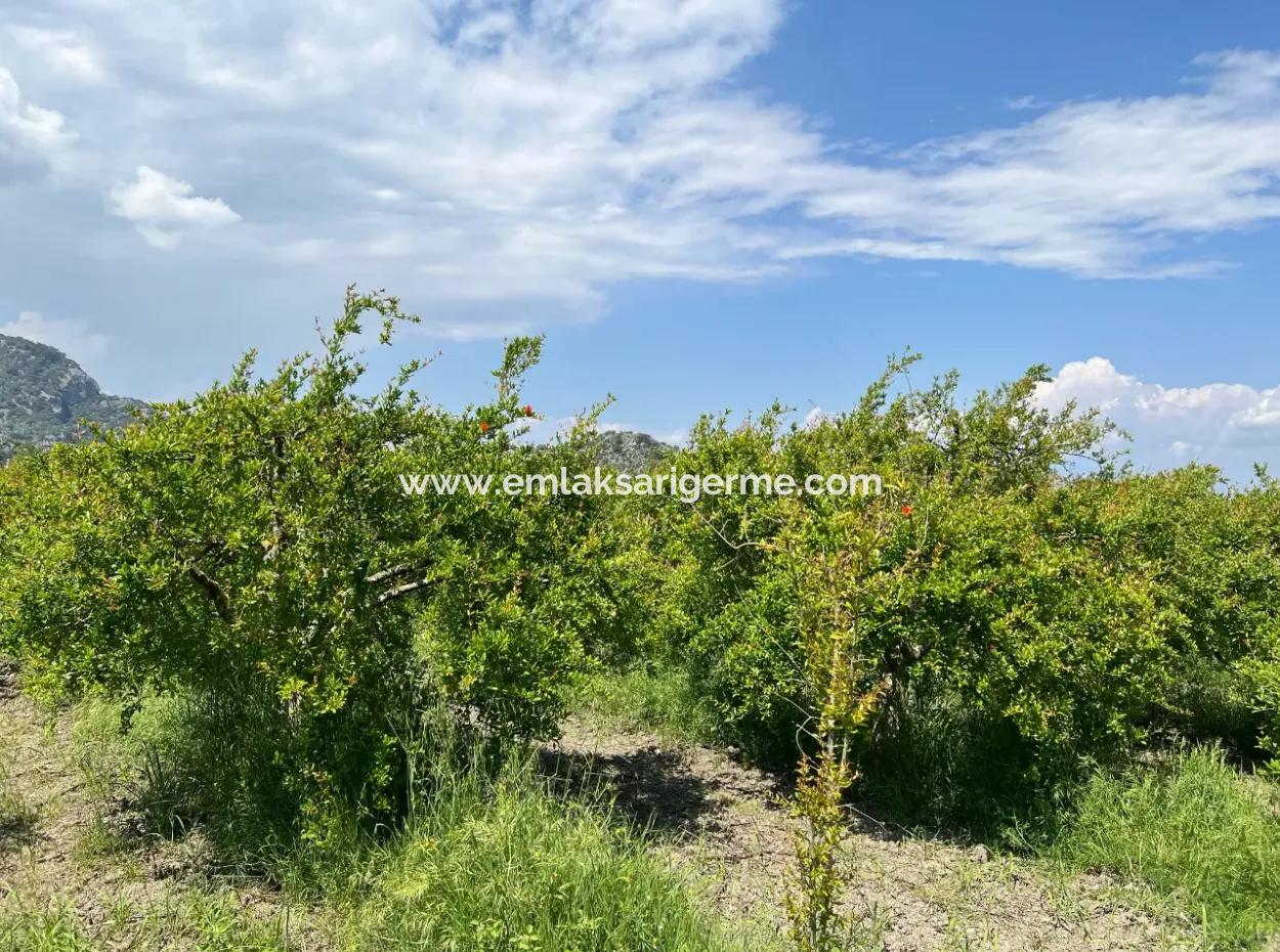 5,100M2 Land For Sale In Dalyan Maraş Area With 5% Residential Zoning