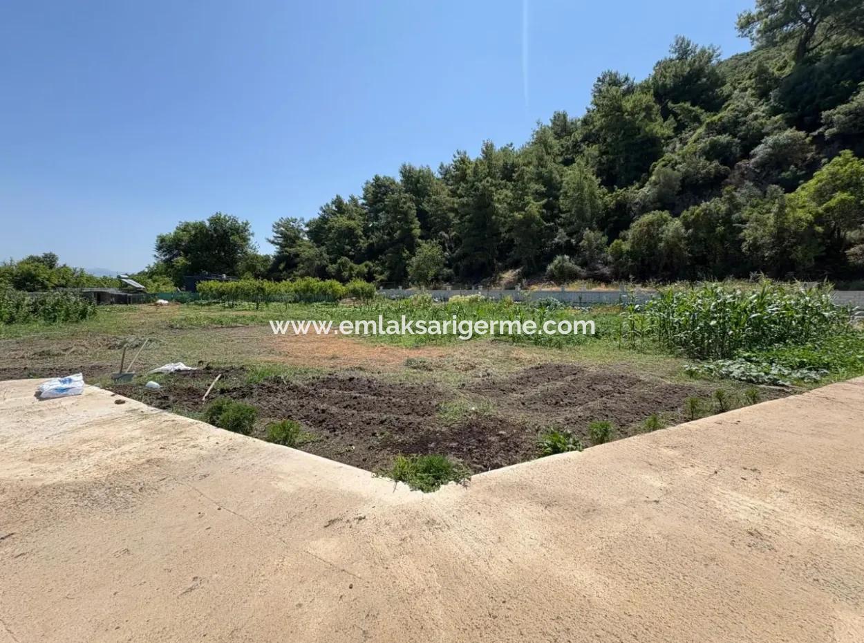 120M2 Detached Wooden House In A 2500M2 Field In Dalyan Karadağ