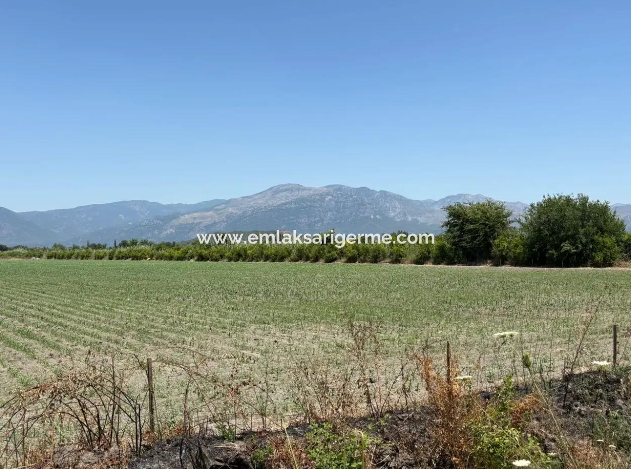 46,550M2 Land For Sale In Tepearası