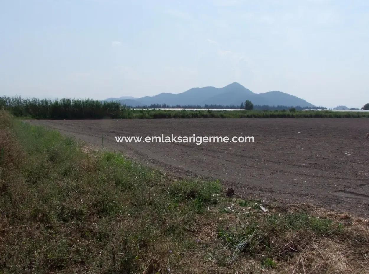 Farm For Sale In Dalyan Eskikoy Eskikoy Oriya 14,900M2 Plot For Sale Field