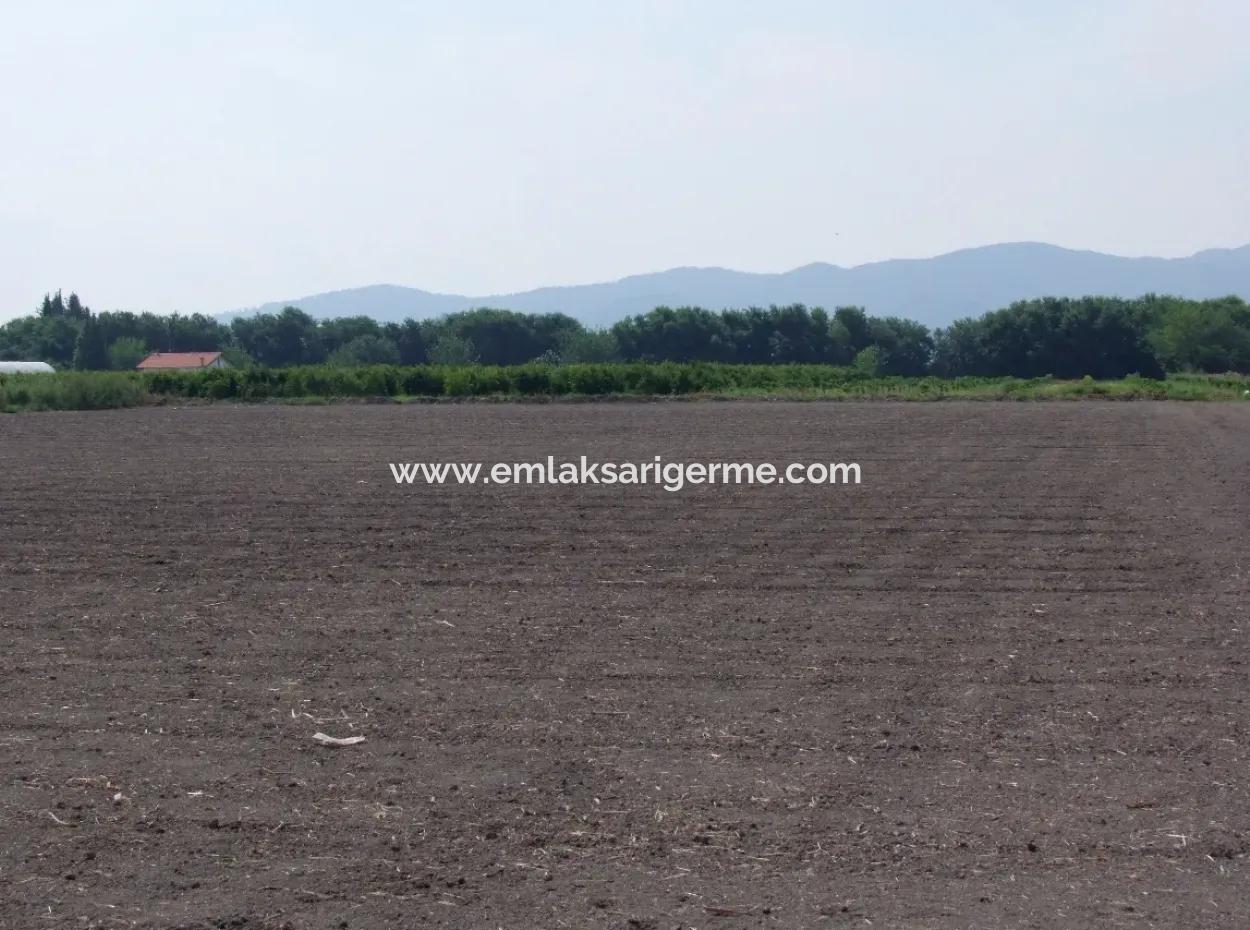 Farm For Sale In Dalyan Eskikoy Eskikoy Oriya 14,900M2 Plot For Sale Field