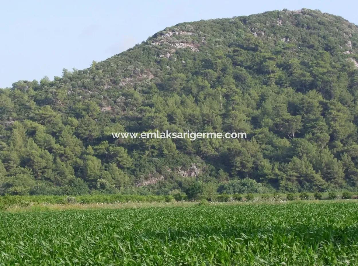 Farm For Sale Near The Centre Of Dalyan,14, 612M2 Farm For Sale