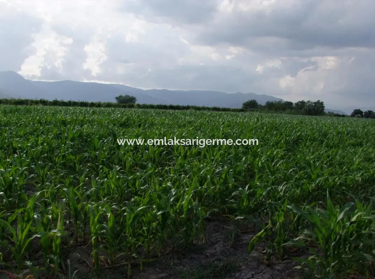 Farm For Sale Near The Centre Of Dalyan,14, 612M2 Farm For Sale