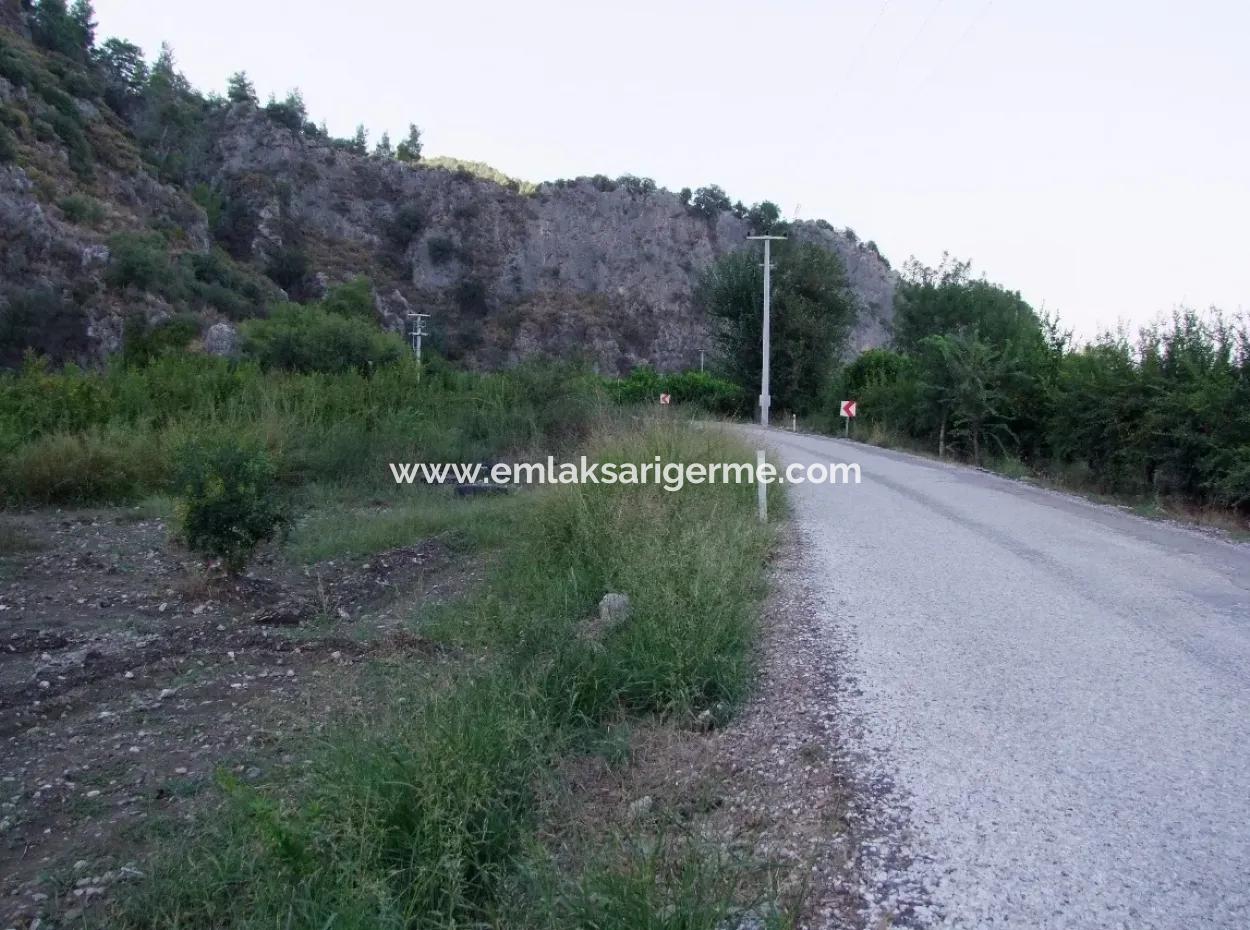 Plot For Sale In Pomegranate Garden For Sale In Oriya Mergenli Mergenli