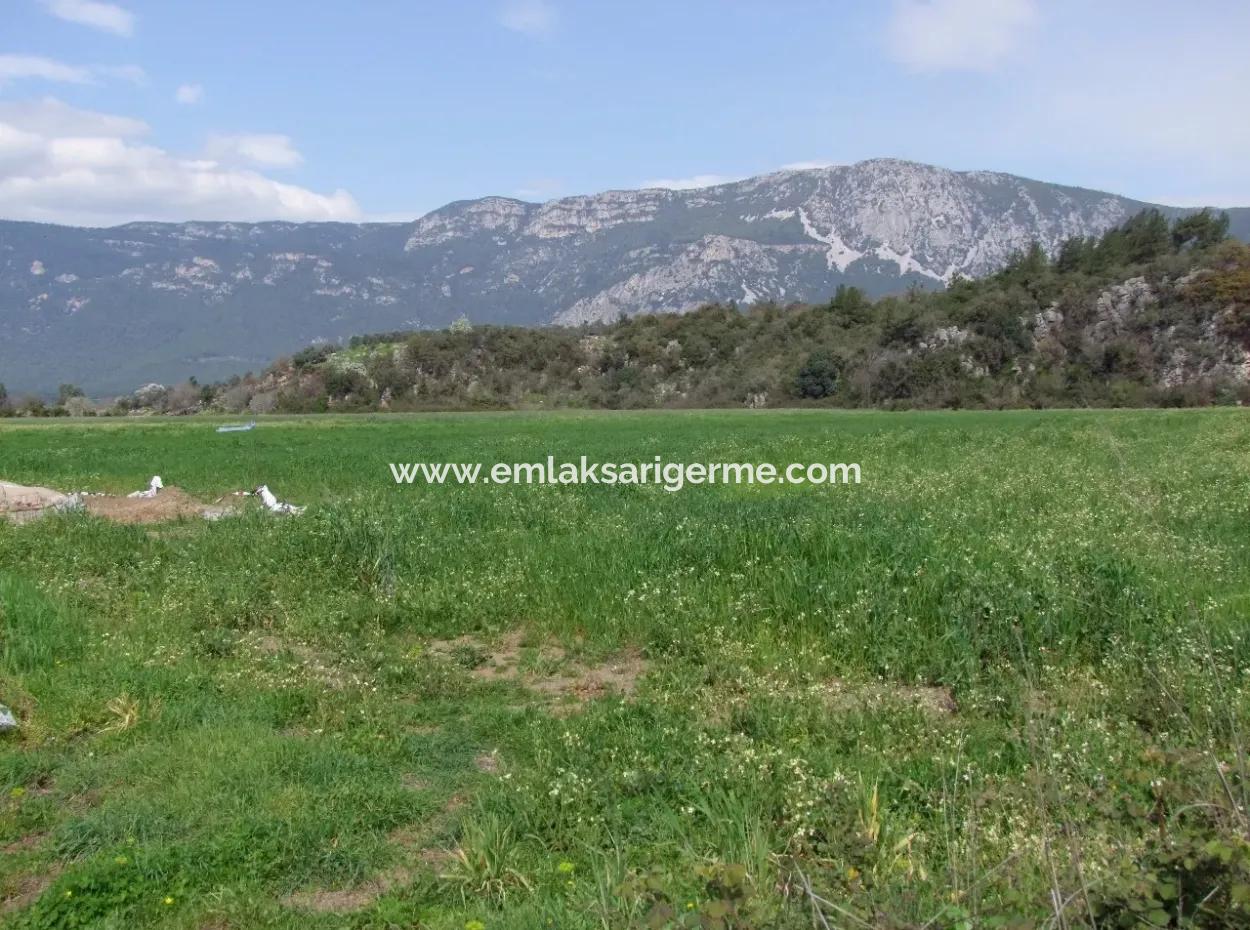 In Akyaka For Sale: Land For Sale Farm For Sale A Farm Near The Sea Of Ars, Yatirimlik 21625M2