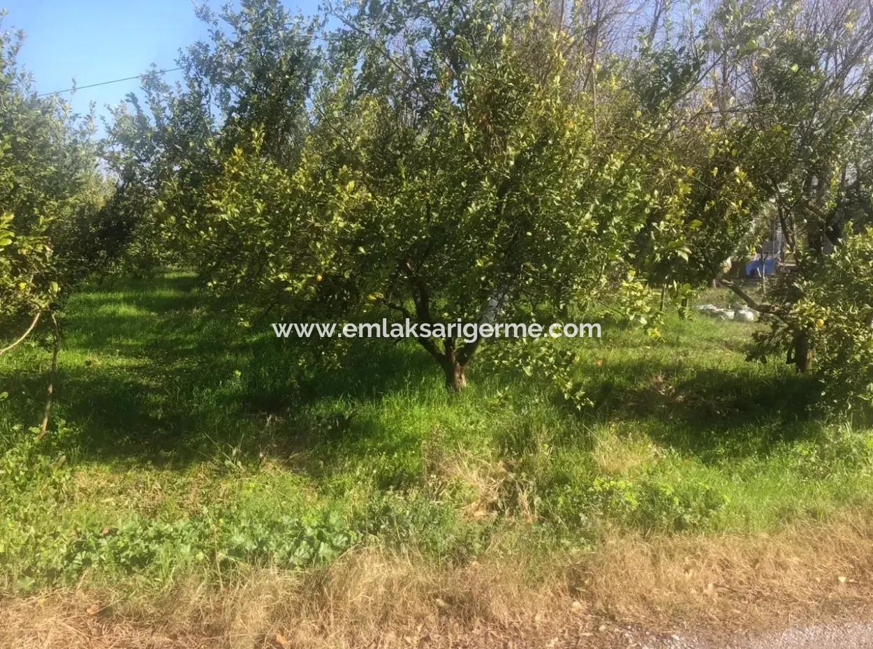 Raiders 803M2 Land For Sale In Plot For Sale