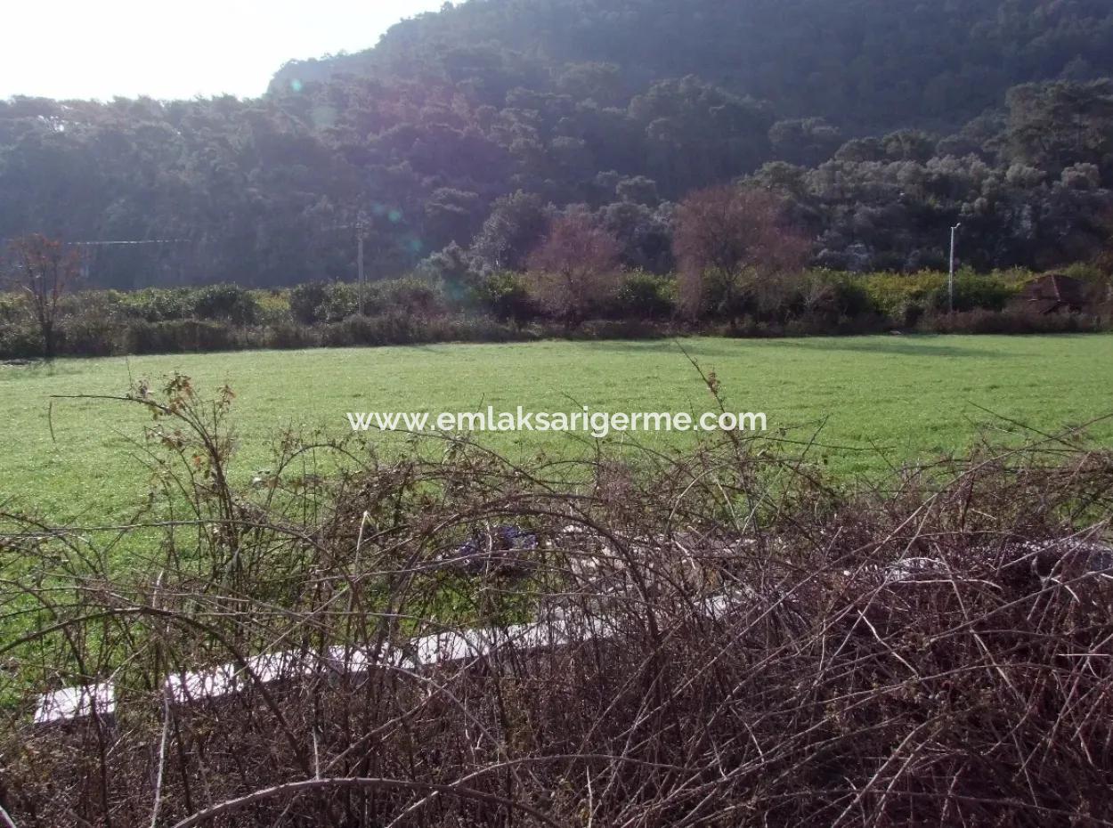 For Sale In Koycegiz, Dalyan Plot For Sale 10629M2