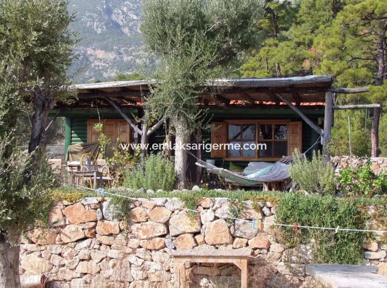 Beachfront Bungalow For Sale In Akbuk By The Sea In A Plot Of 800M2 Villa For Sale Turnalı