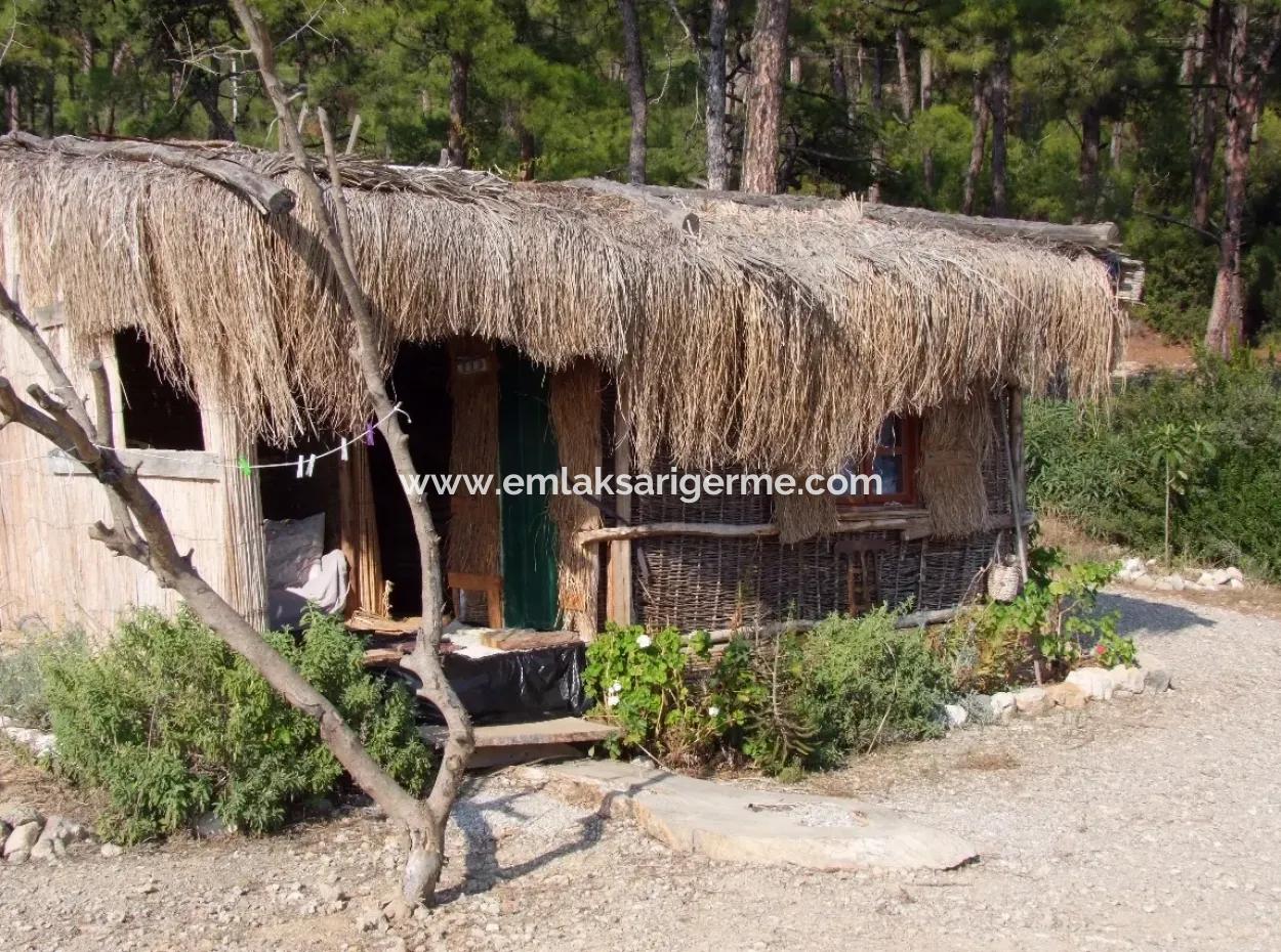 Beachfront Bungalow For Sale In Akbuk By The Sea In A Plot Of 800M2 Villa For Sale Turnalı