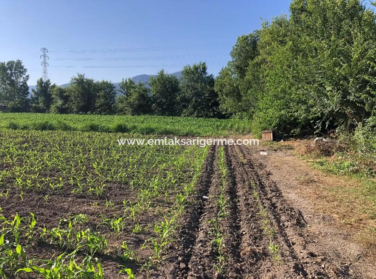 2200M2 Plot For Sale In Dalyan For Sale Dalyan
