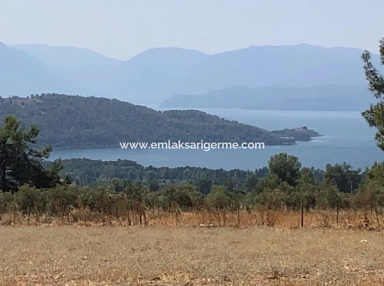 11.227M2 Land For Sale With Lake Views In Köyceğiz Zeytinalanı