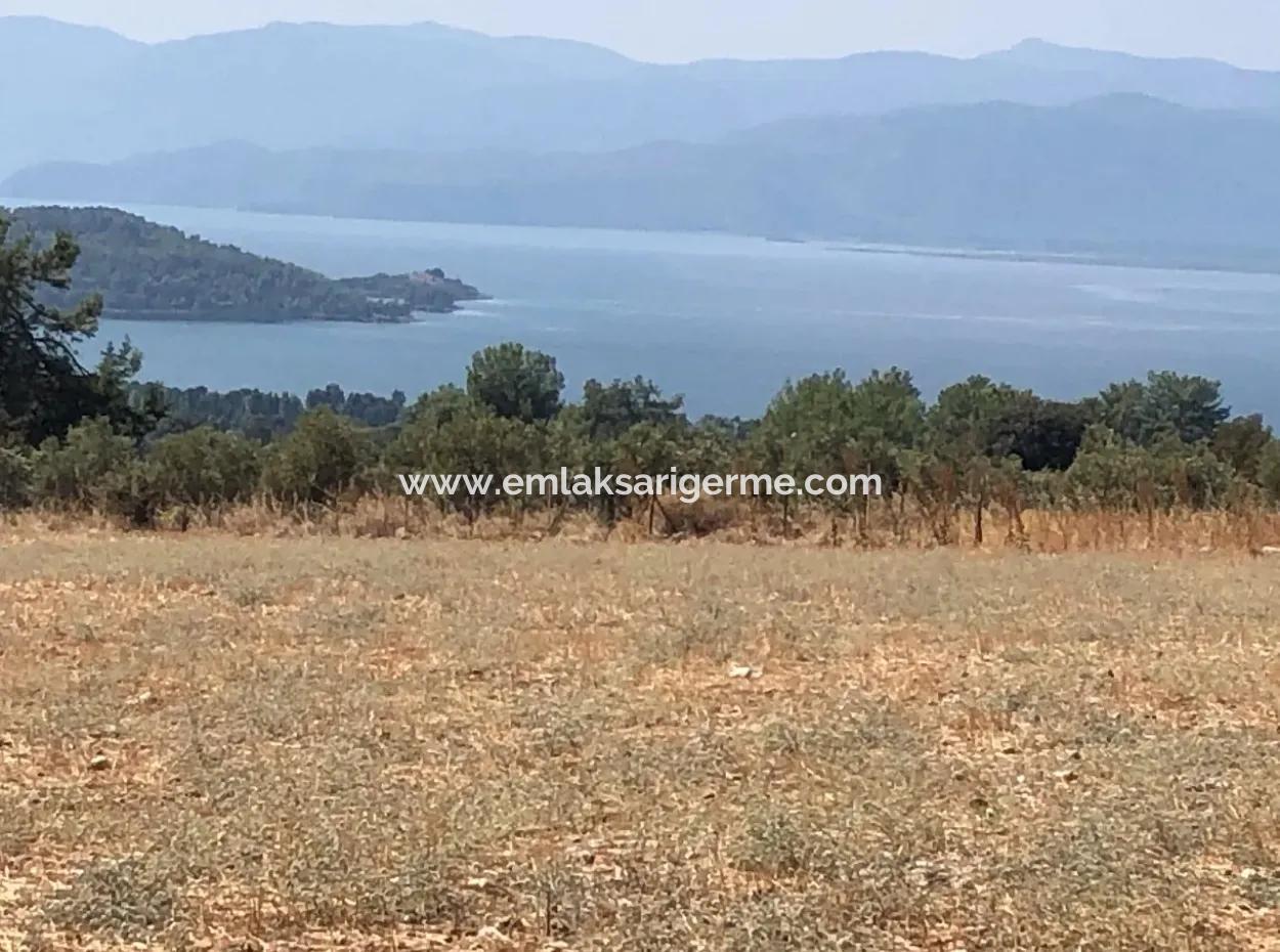 11.227M2 Land For Sale With Lake Views In Köyceğiz Zeytinalanı