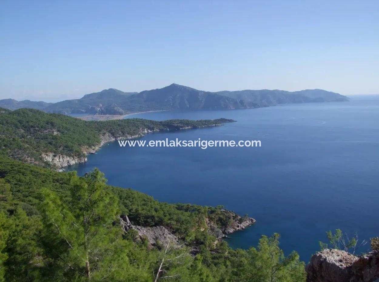 Real Estate Bargain Plot For Sale With Sea Views In Çandır Call In Ekincik