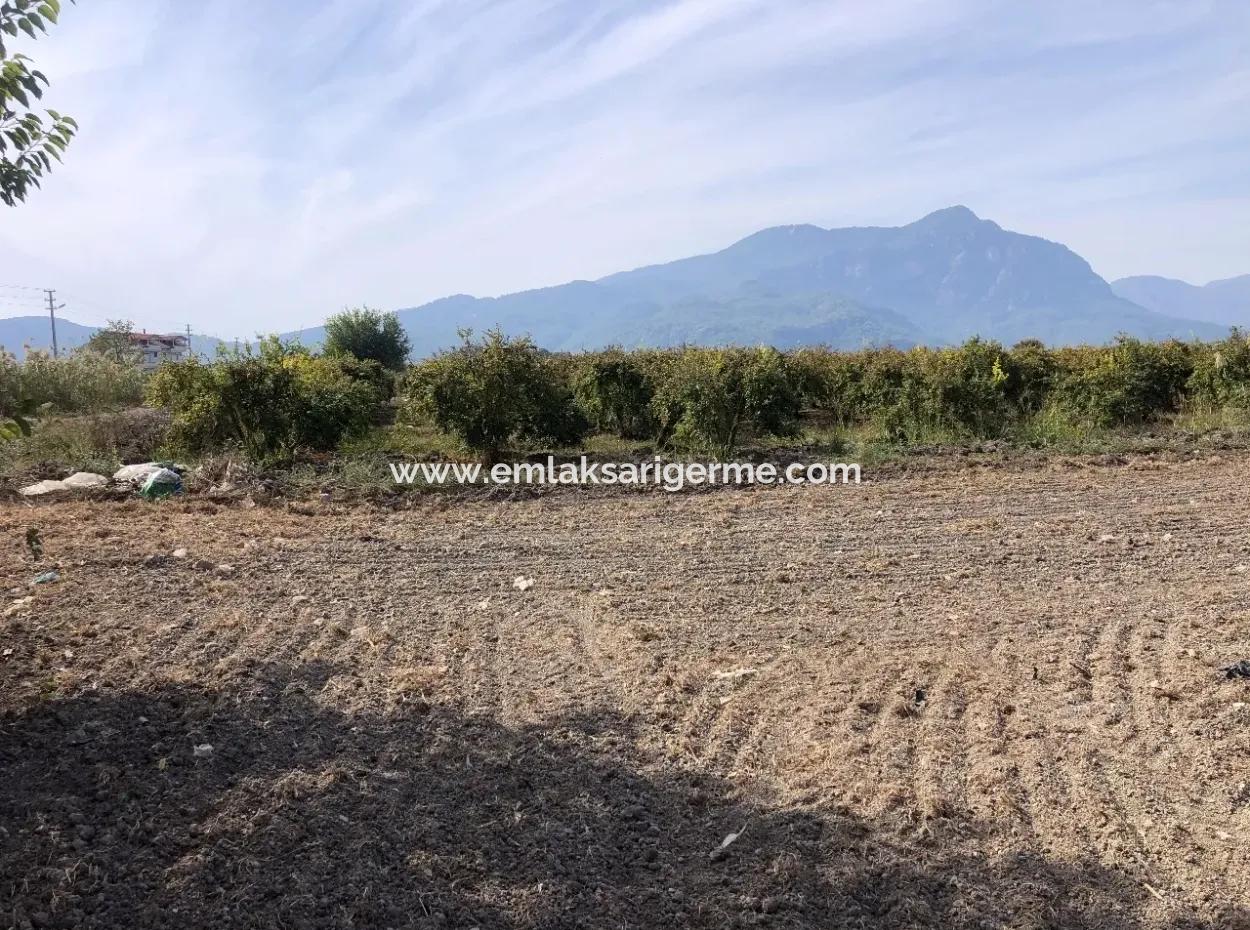 Land For Sale In Esköy 8500M2 Field Land For Sale