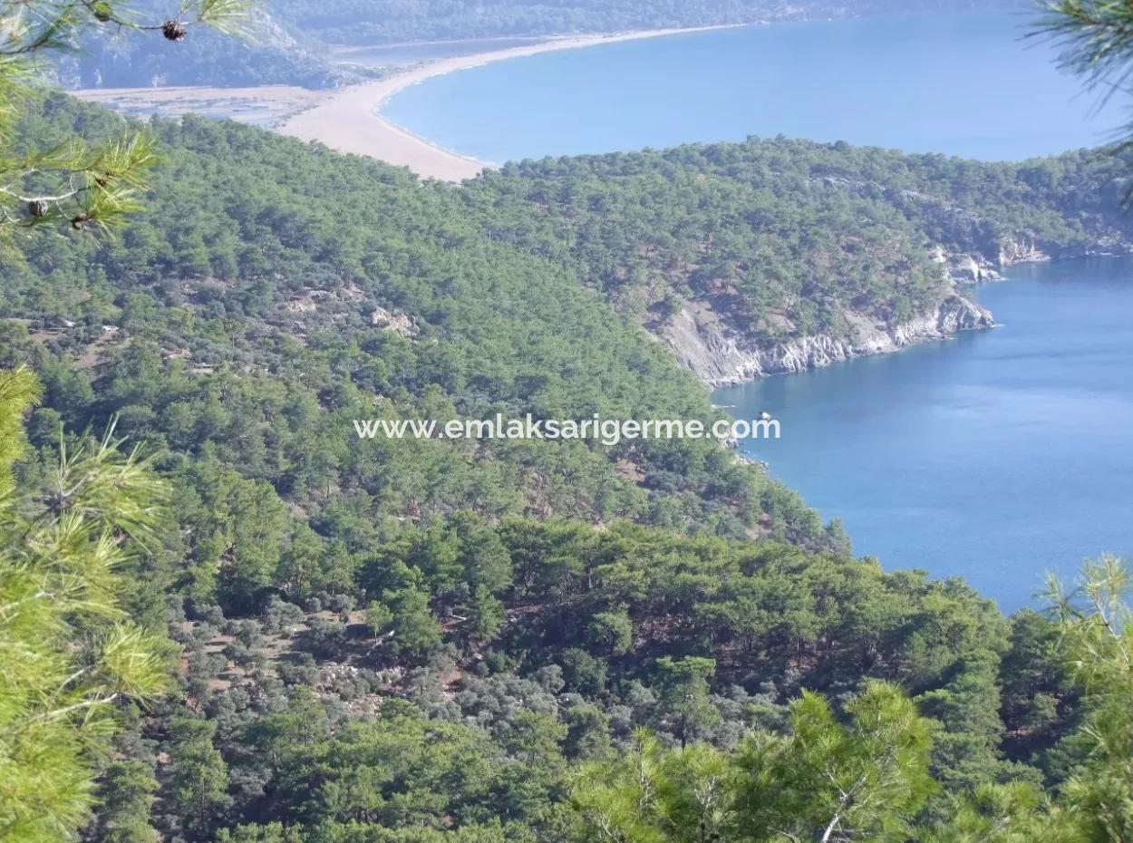 Real Estate Bargain Plot For Sale With Sea Views In Çandır Call In Ekincik