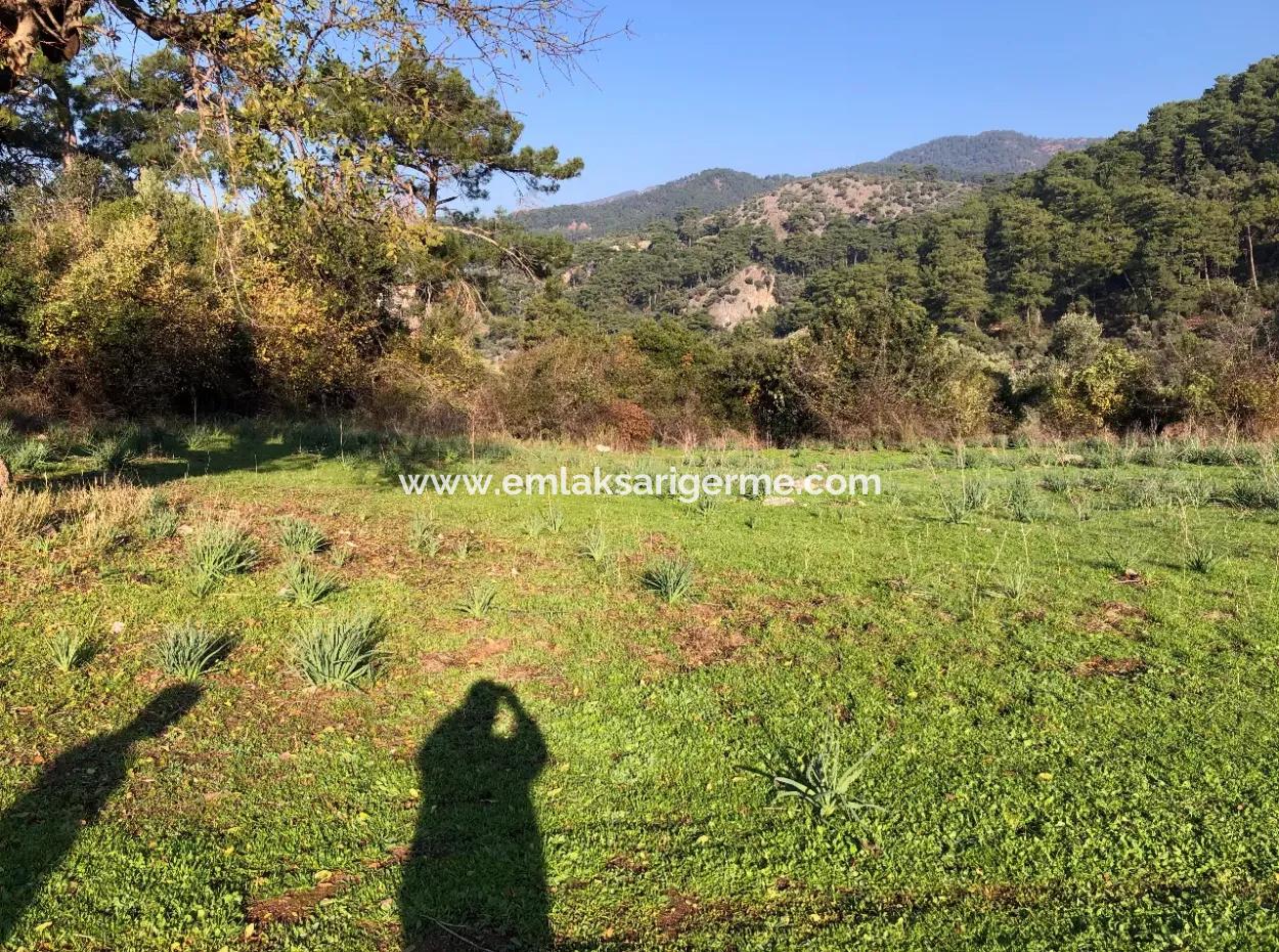 Ekincik Land For Sale 10,038M2 Land For Sale Field