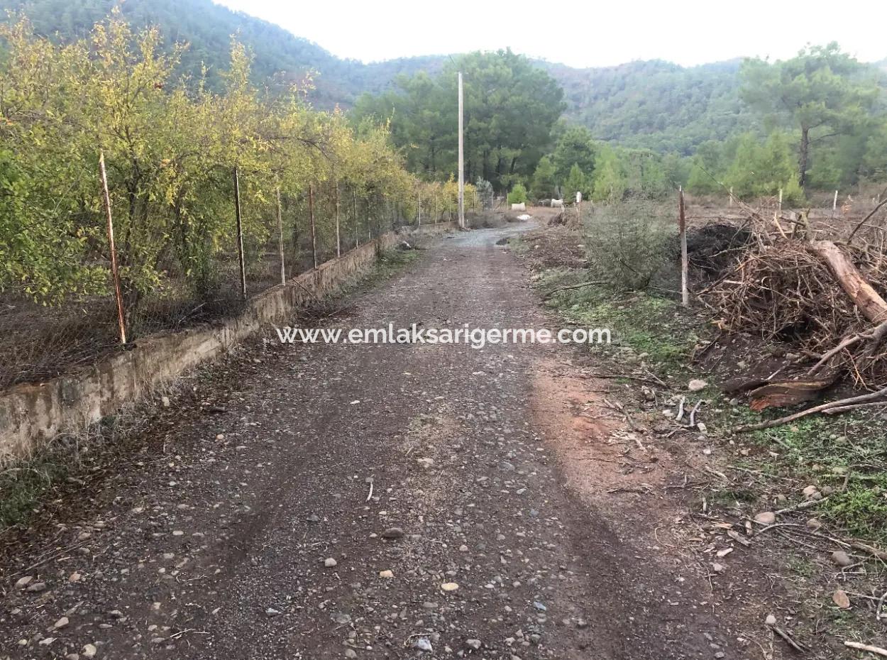 Sultaniye Land For Sale Near 10577M2 Lake Land For Sale