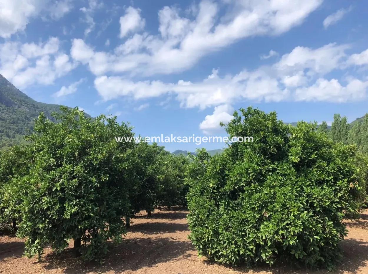 Sultaniye Sultaniye Koycegiz Lake Plot For Sale For Sale In By The Sea