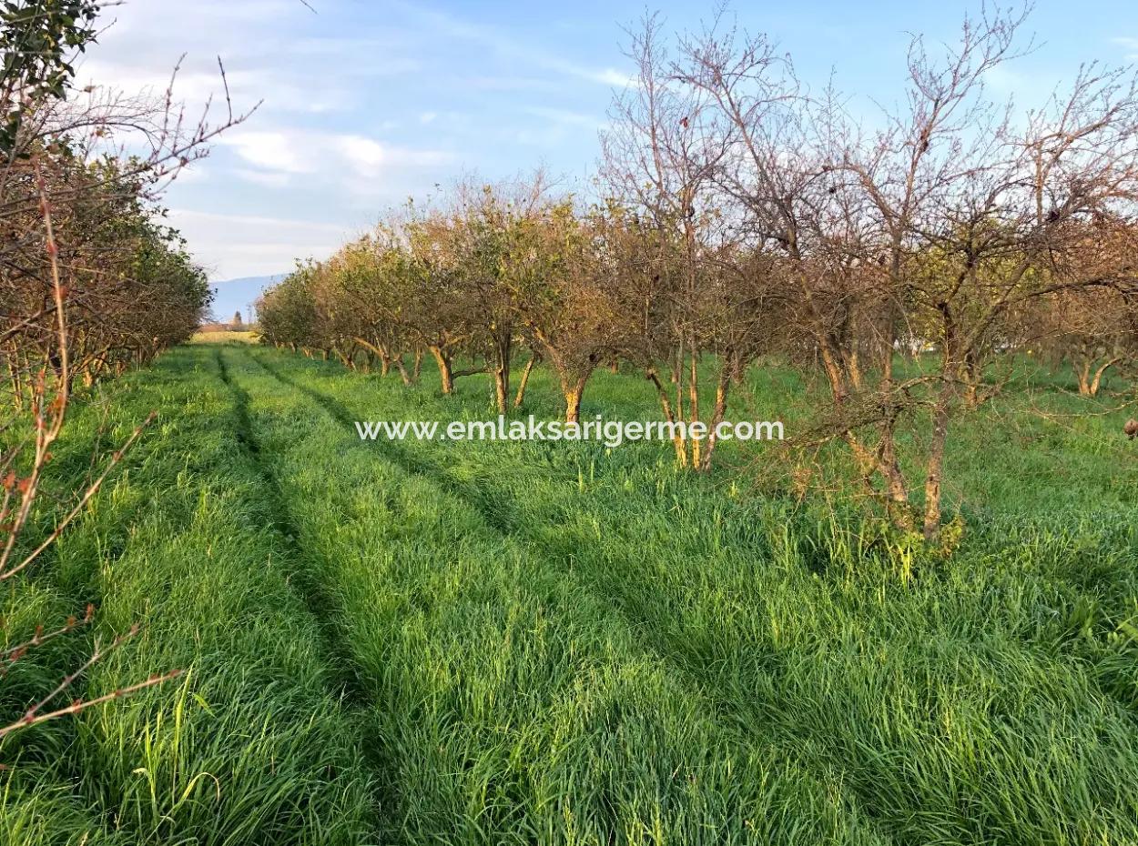 In Okçular Land For Sale 4707M2 Land For Sale