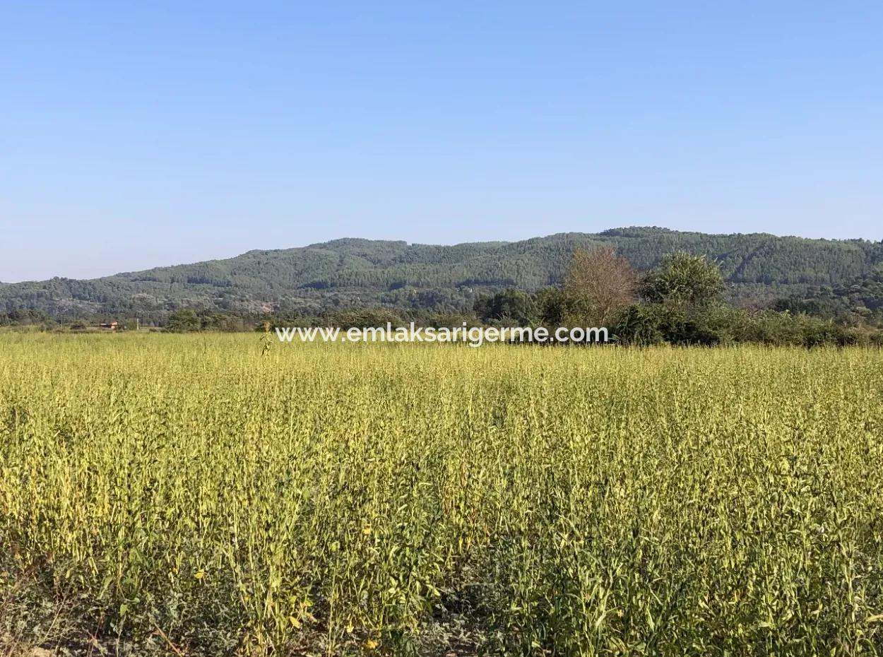 For Sale In Akçapinar 100 Acres For Sale