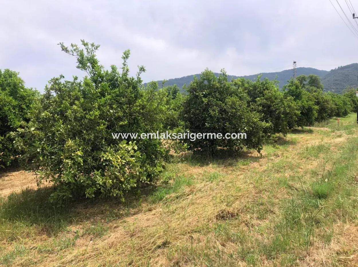 Land For Sale In Sourliyurtda 1085M2