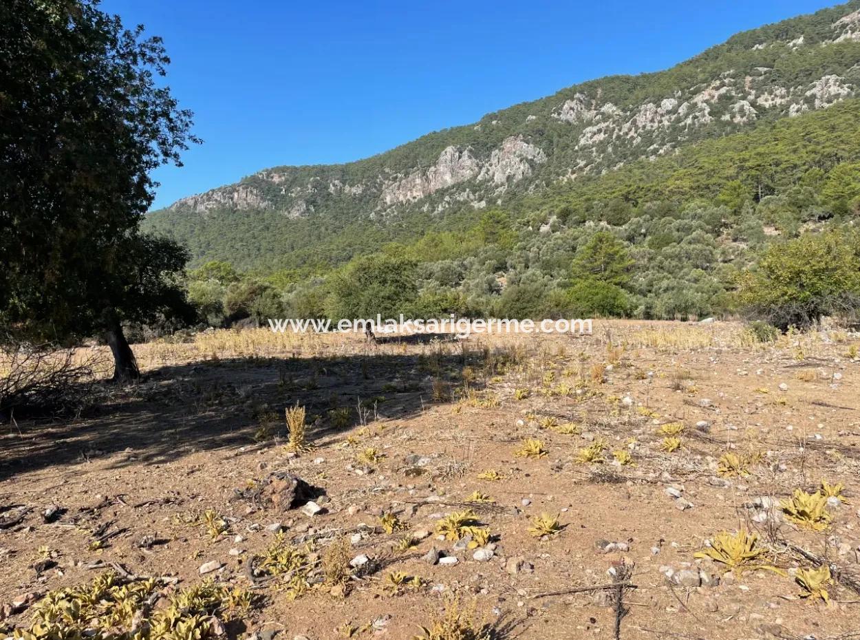 2620M2 Land Field For Sale With Sea View Of Çandir