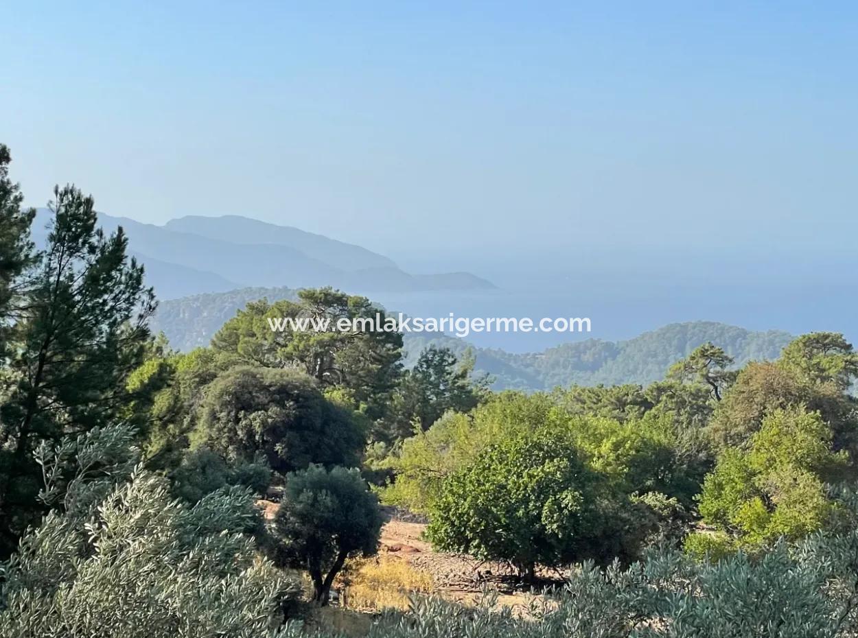 2620M2 Land Field For Sale With Sea View Of Çandir