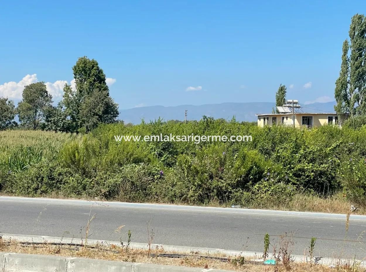 Dalyan Main Road Zero Land For Sale 8115M2 Commercial Land For Sale