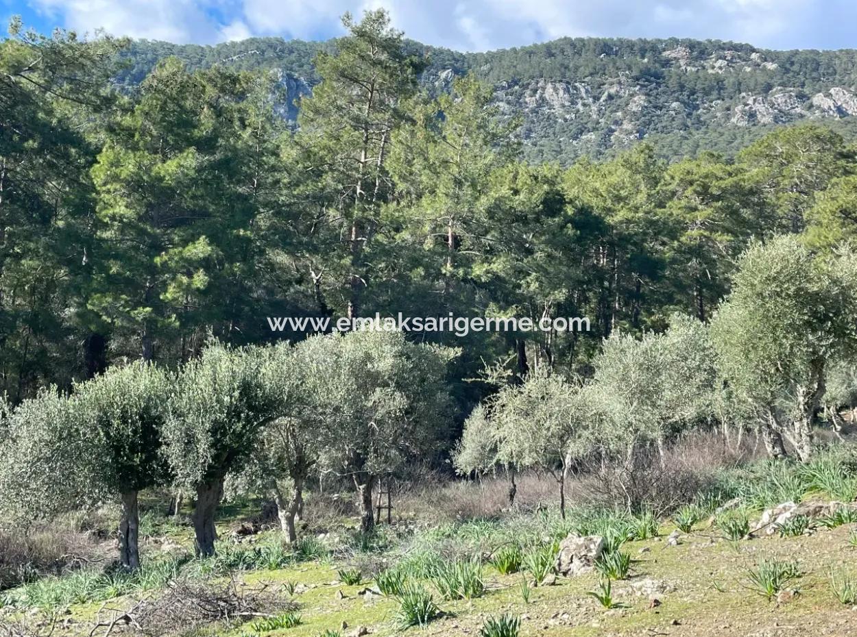 4000M2  For Sale With Lake View In Çandir